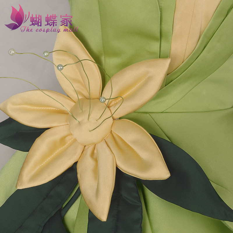 Princess Tiana Dress Cosplay C - Women Accessories Kit review and price